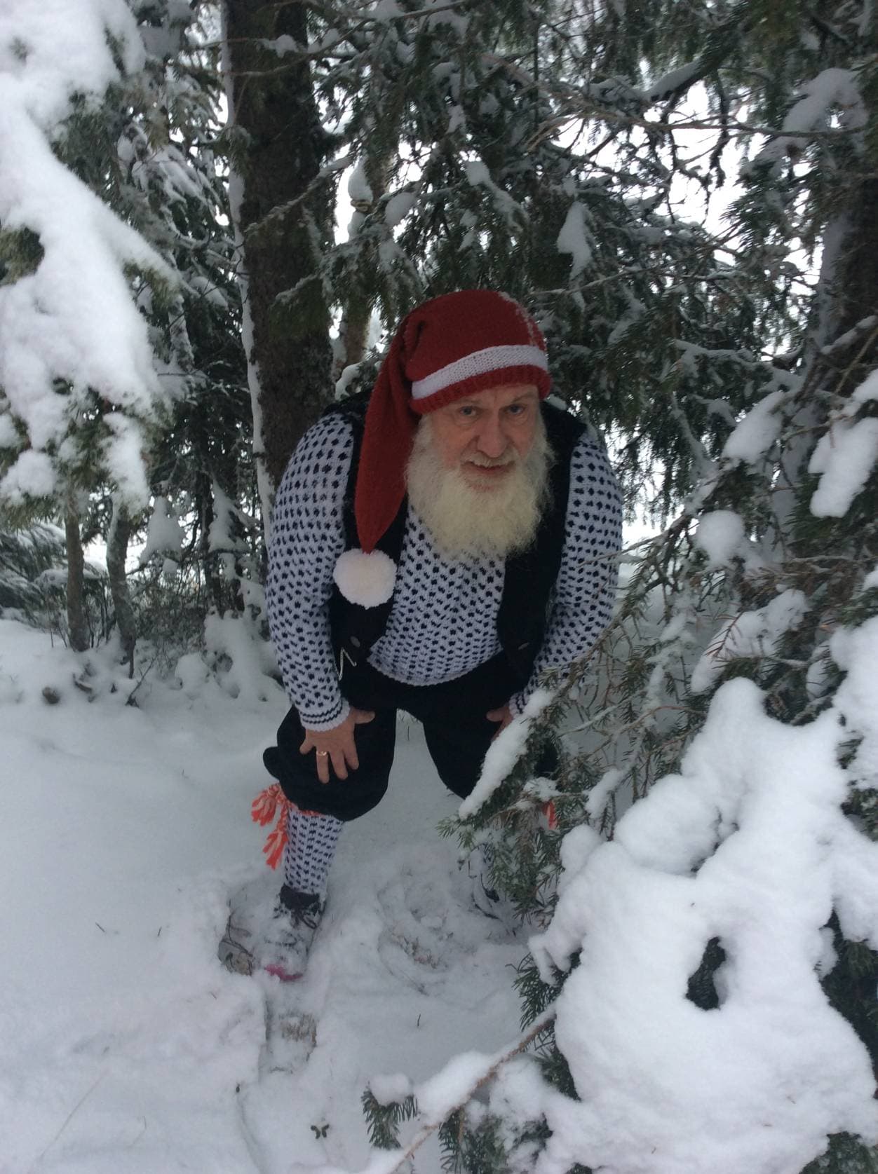 Fjøsnissen i snødekt granskog på Toten